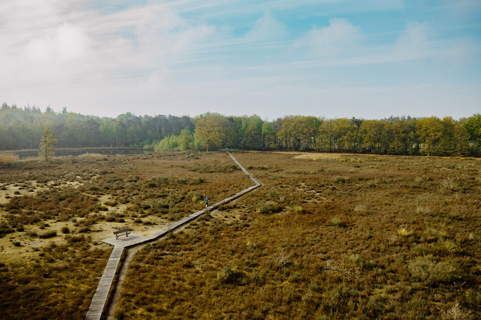 Breda Mastbos Vlonderpad drone BDD foto Breda Marketing