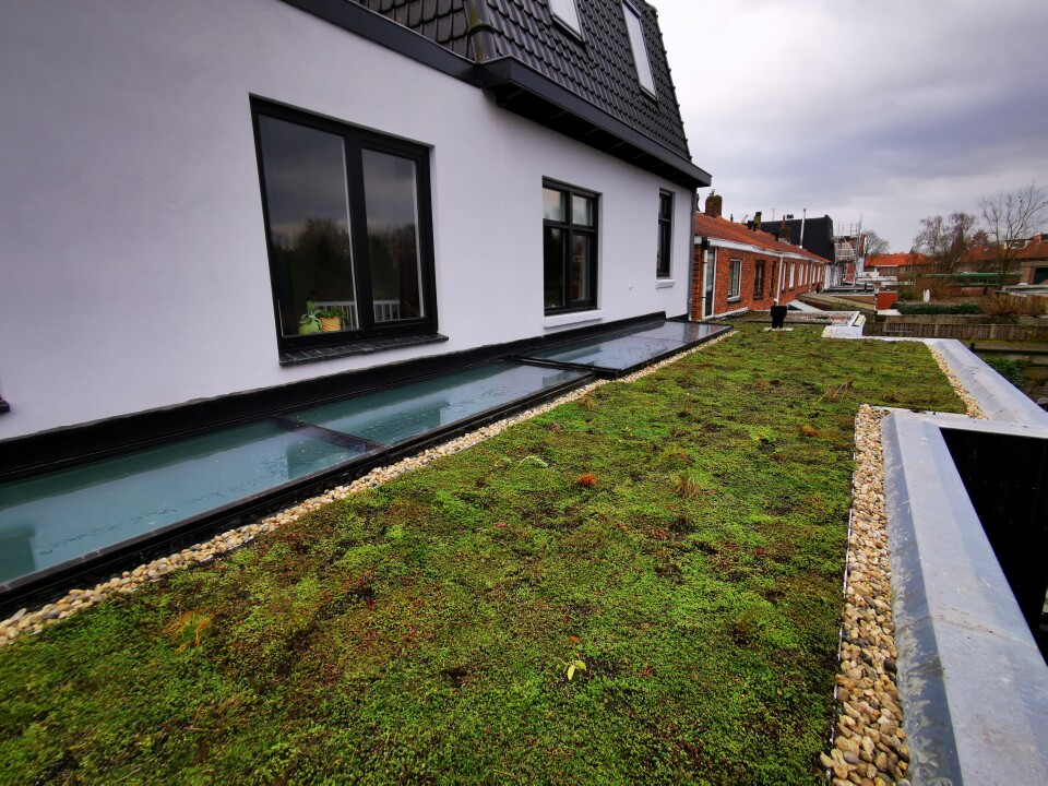 Groene daken actie 4