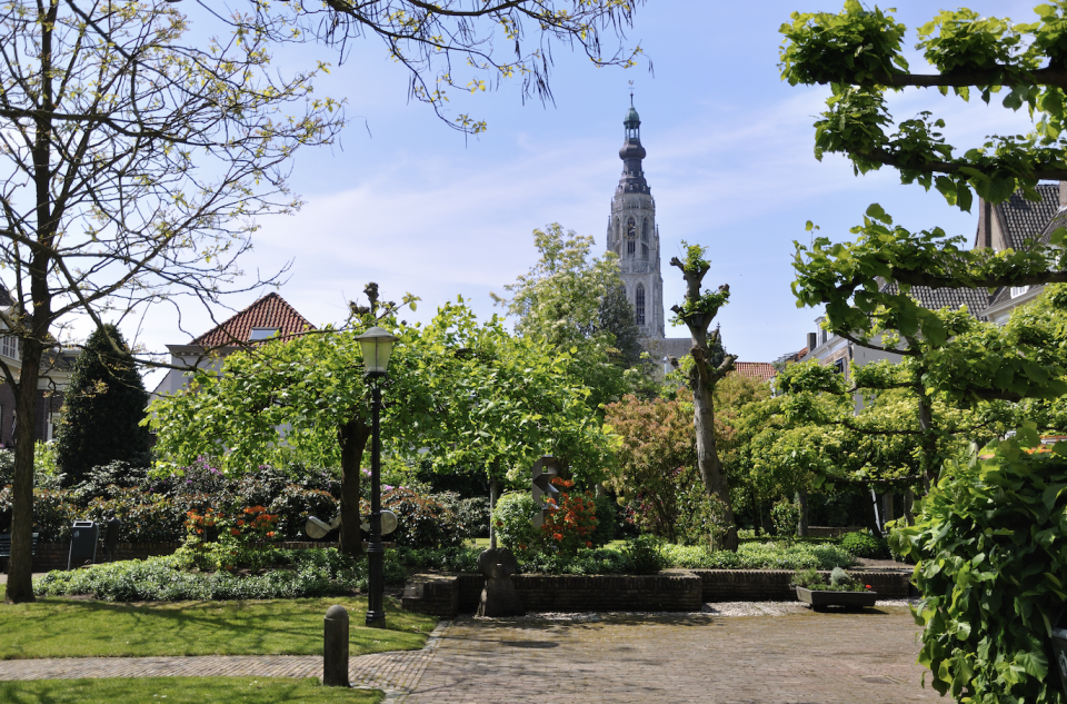 Scherm&shy;afbeelding 2025 01 30 om 11.00.54