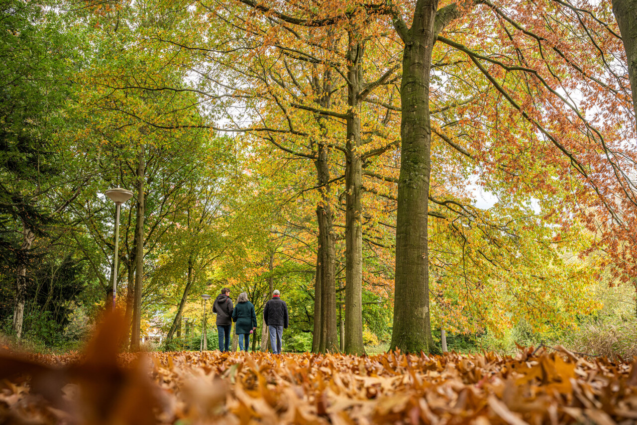 Sonsbeeckpark